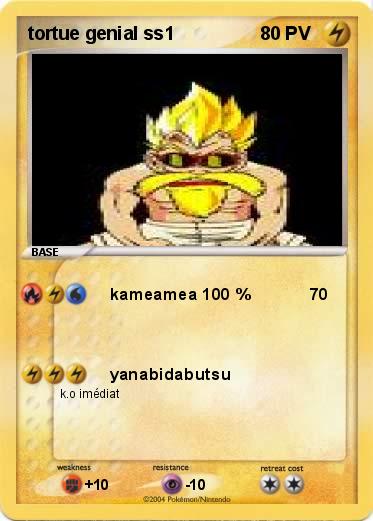 Pokemon tortue genial ss1