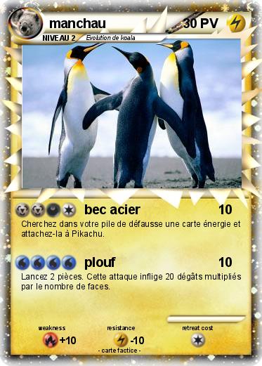 Pokemon manchau
