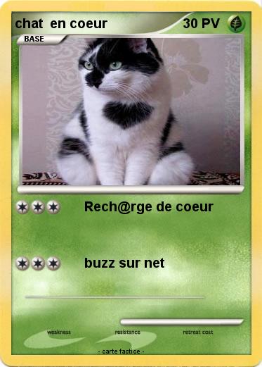 Pokemon chat  en coeur