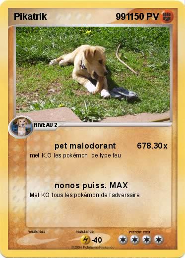 Pokemon Pikatrik                           991