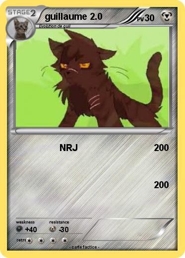 Pokemon guillaume 2.0