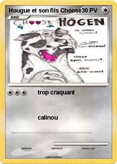 Pokemon Hougue et son fils Choose