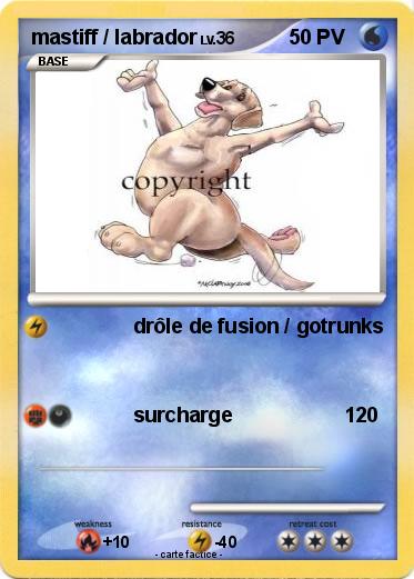Pokemon mastiff / labrador