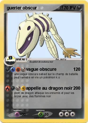 Pokemon guerier obscur