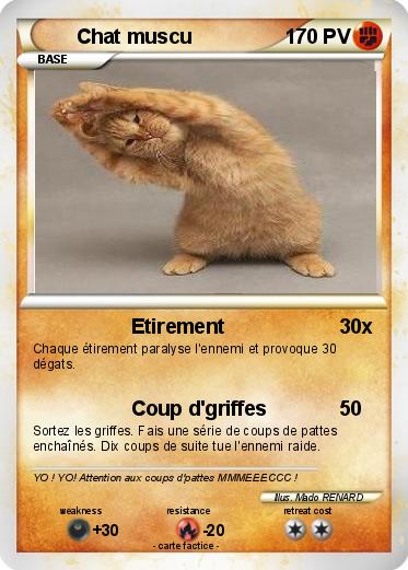 Pokemon Chat muscu