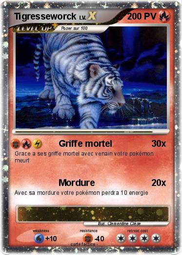 Pokemon Tigresseworck