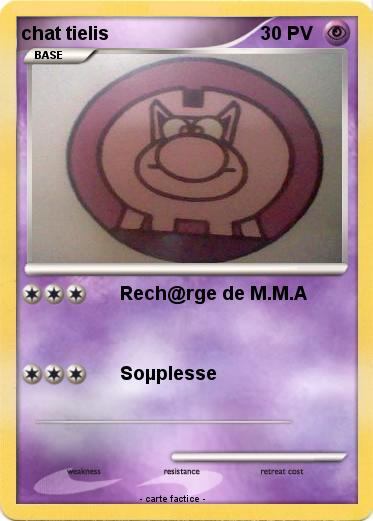 Pokemon chat tielis