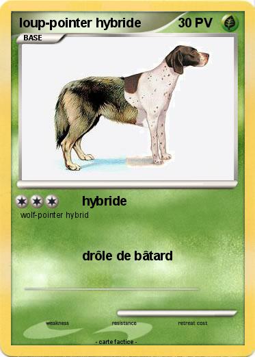 Pokemon loup-pointer hybride