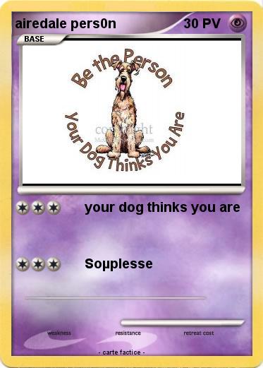 Pokemon airedale pers0n