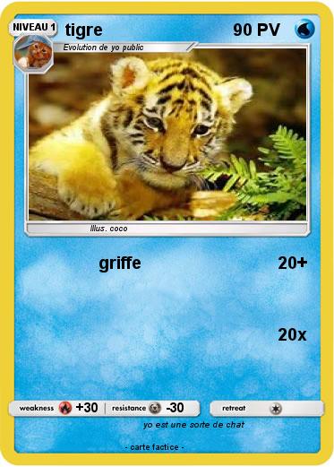 Pokemon tigre