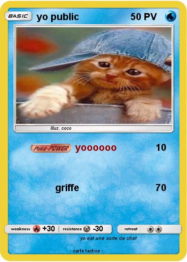 Pokemon yo public