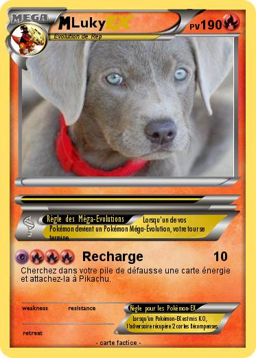 Pokemon Luky