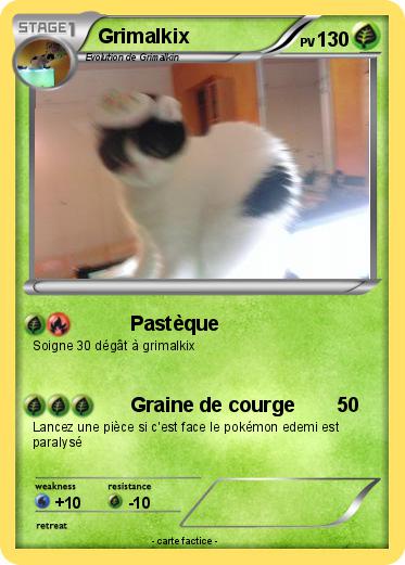 Pokemon Grimalkix