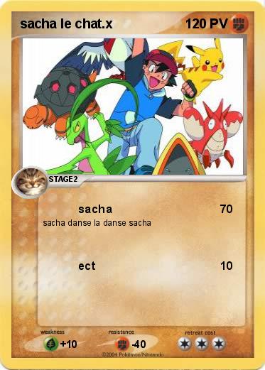 Pokemon sacha le chat.x                                                          