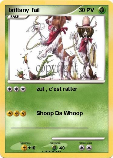 Pokemon brittany  fail