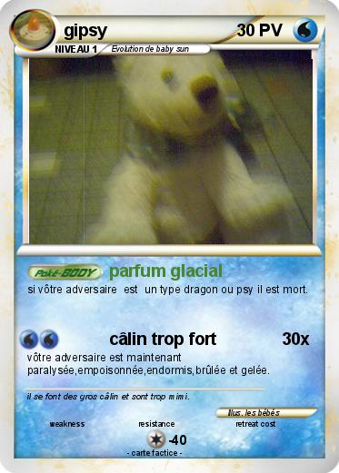 Pokemon gipsy