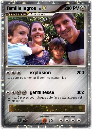 Pokemon famille legros