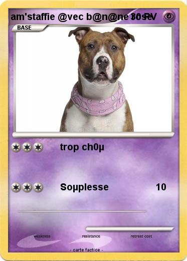 Pokemon am'staffie @vec b@n@ne rose