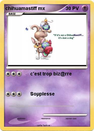 Pokemon chihuamastiff mx