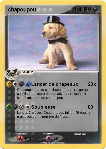 Pokemon chapoupou