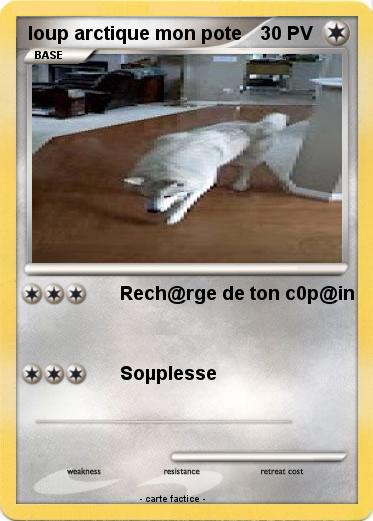 Pokemon loup arctique mon pote