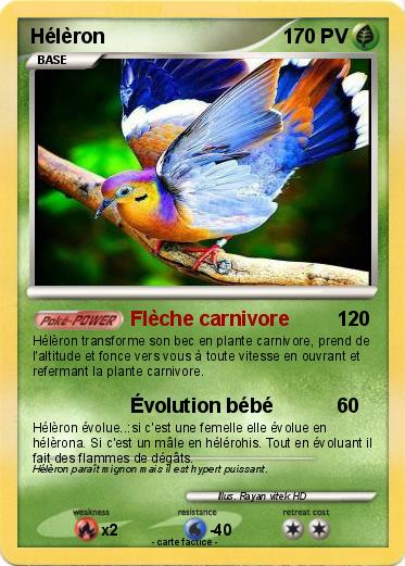 Pokemon Hélèron