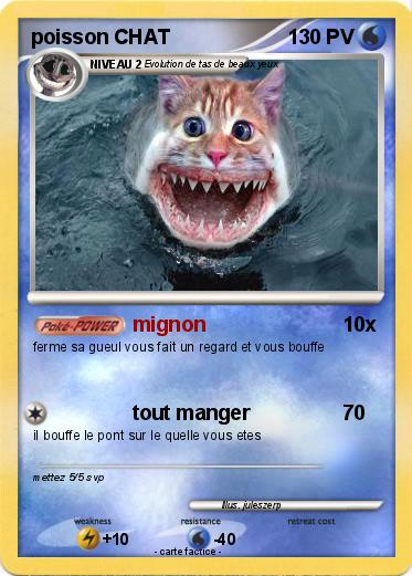 Pokemon poisson CHAT