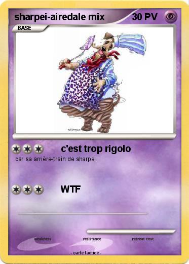 Pokemon sharpei-airedale mix