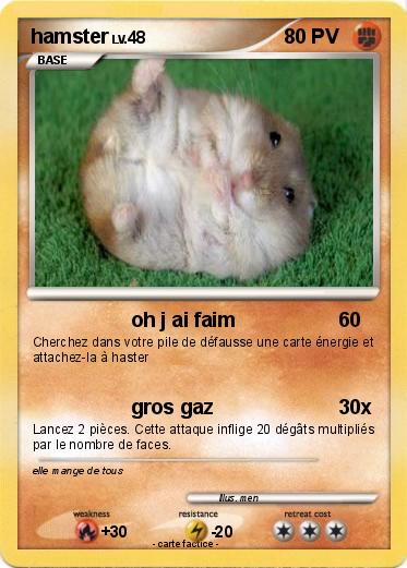 Pokemon hamster