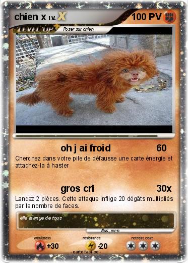 Pokemon chien x
