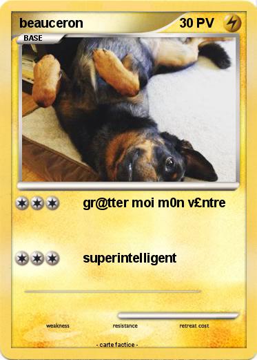 Pokemon beauceron