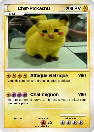 Pokemon Chat-Pickachu