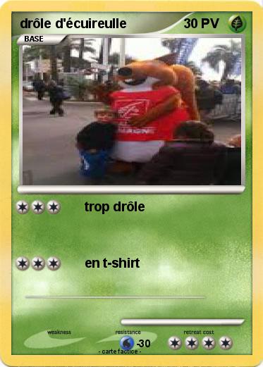 Pokemon drôle d'écuireulle