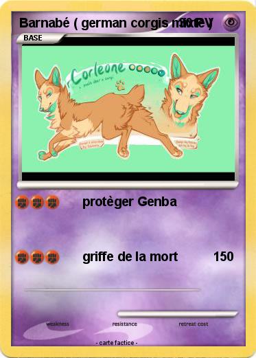 Pokemon Barnabé ( german corgis mixte )