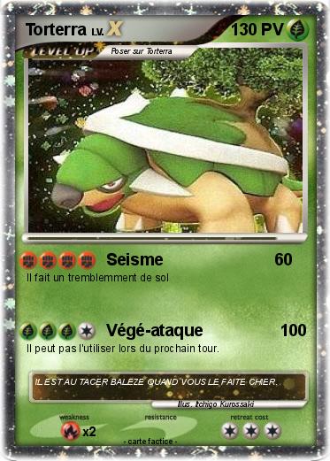 Pokemon Torterra