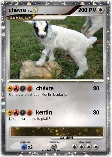 Pokemon chèvre