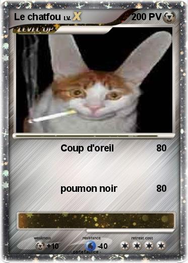 Pokemon Le chatfou