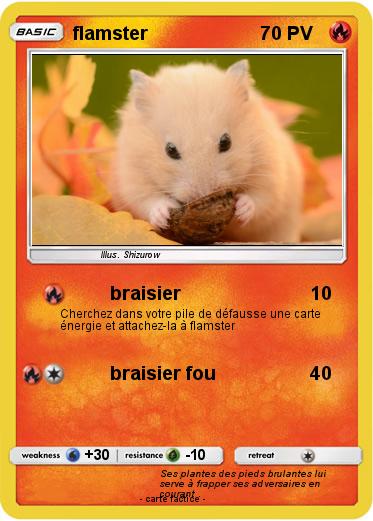 Pokemon flamster