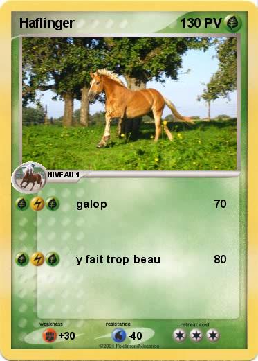 Pokemon Haflinger