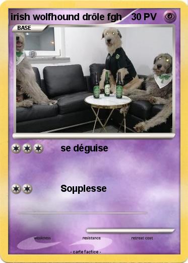 Pokemon irish wolfhound drôle fgh
