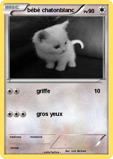 Pokemon bébé chatonblanc