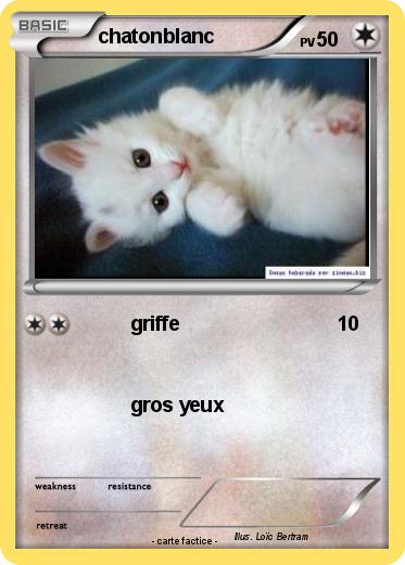 Pokemon chatonblanc