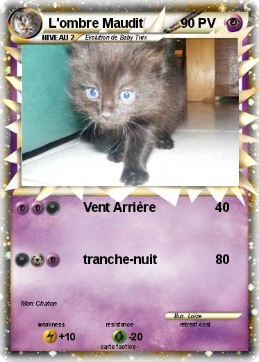 Pokemon L'ombre Maudit