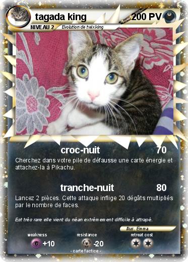 Pokemon tagada king