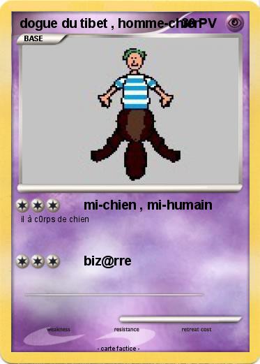 Pokemon dogue du tibet , homme-chien