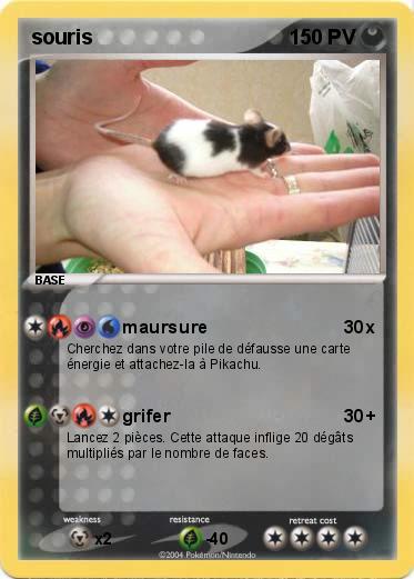 Pokemon souris
