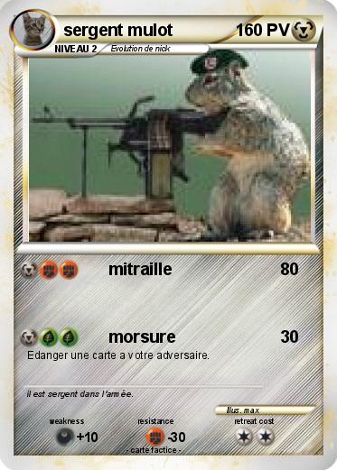 Pokemon sergent mulot