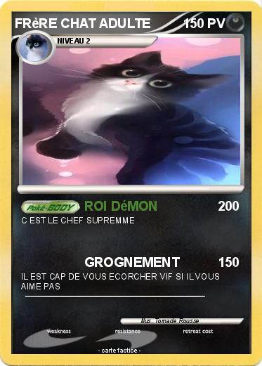 Pokemon FRèRE CHAT ADULTE