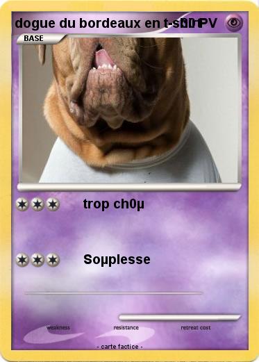 Pokemon dogue du bordeaux en t-shirt