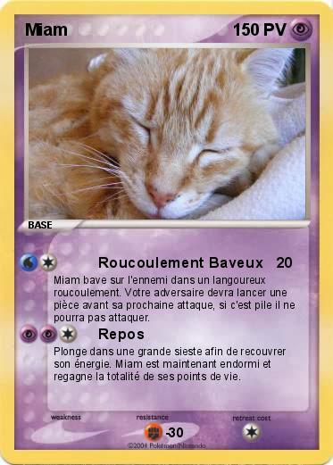 Pokemon Miam